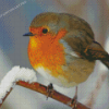 Cool Winter Robin Diamond Painting