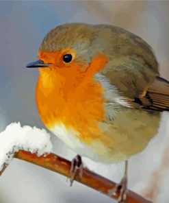 Cool Winter Robin Diamond Painting