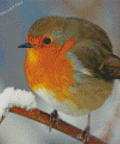 Cool Winter Robin Diamond Painting