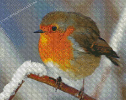 Cool Winter Robin Diamond Painting