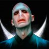 Cool Voldemort Diamond Painting