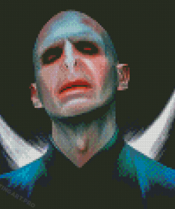 Cool Voldemort Diamond Painting