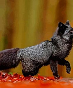 Cute Silver Fox Diamond Painting