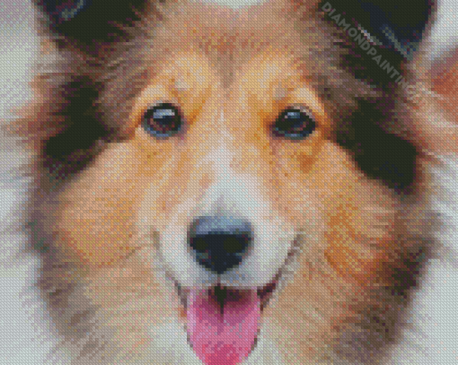 Cute Welsh Sheepdog Diamond Painting