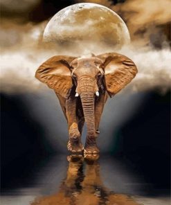 Elephant Moon Reflection Diamond Painting