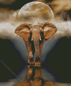 Elephant Moon Reflection Diamond Painting