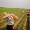 Farming With Workers Diamond Painting