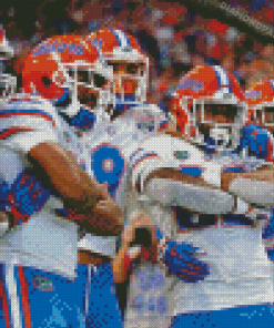 Florida Gators American Football Team Diamond Painting