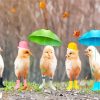 Funny Birds In Rain Diamond Painting