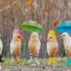 Funny Birds In Rain Diamond Painting