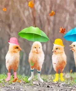 Funny Birds In Rain Diamond Painting