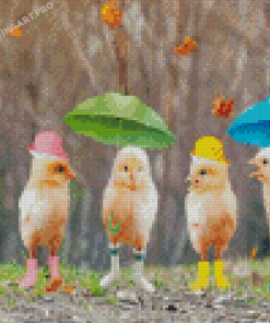 Funny Birds In Rain Diamond Painting