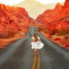 Girl In Road To Valley Of Fire State Park Diamond Painting