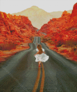 Girl In Road To Valley Of Fire State Park Diamond Painting