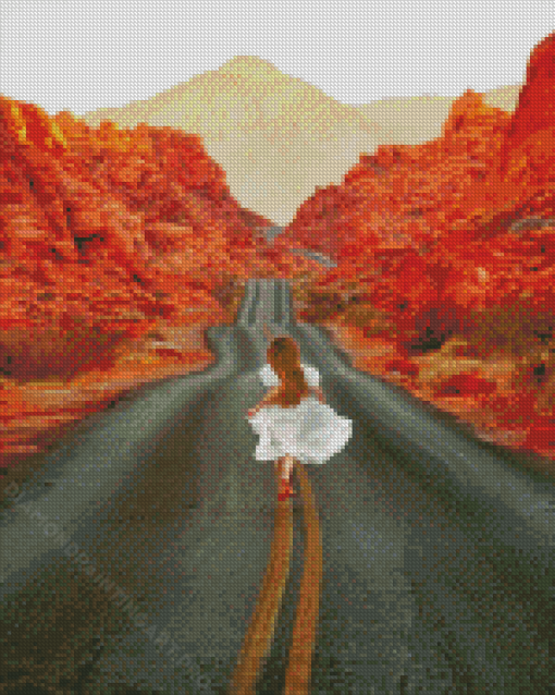 Girl In Road To Valley Of Fire State Park Diamond Painting