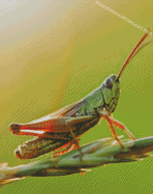 Green Grasshopper Diamond Painting