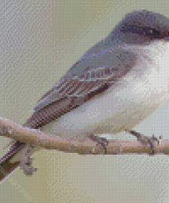 Grey And White Bird Diamond Painting