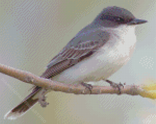 Grey And White Bird Diamond Painting