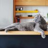 Grey Cat Animal In Kitchen Diamond Painting