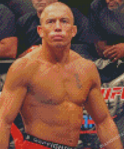 Gsp Diamond Painting