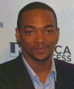 Anthony Mackie Diamond Painting