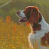 Irish Red White Setter Diamond Painting