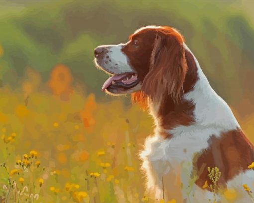 Irish Red White Setter Diamond Painting