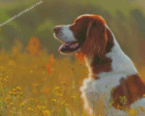 Irish Red White Setter Diamond Painting