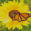 Monarch Butterfly On Sunflower Diamond Painting