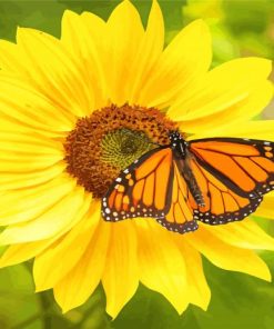 Monarch Butterfly On Sunflower Diamond Painting