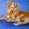 Nova Scotia Duck Toller Dog Art Diamond Painting