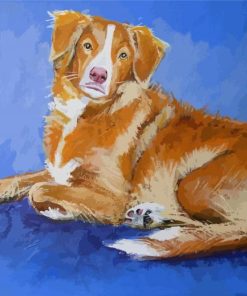 Nova Scotia Duck Toller Dog Art Diamond Painting