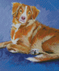 Nova Scotia Duck Toller Dog Art Diamond Painting