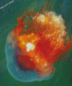 Orange Big Jellyfish Diamond Painting