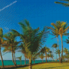 Palm Trees In Varadero Diamond Painting