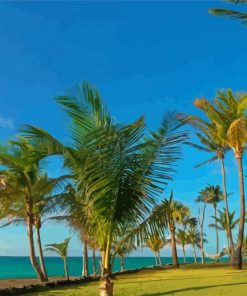 Palm Trees In Varadero Diamond Painting