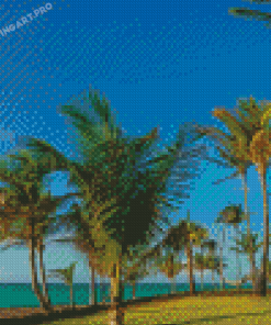 Palm Trees In Varadero Diamond Painting