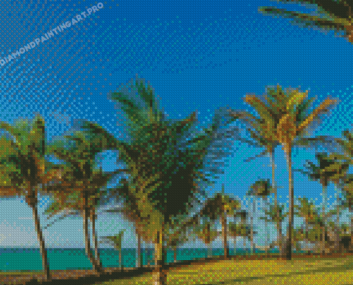 Palm Trees In Varadero Diamond Painting