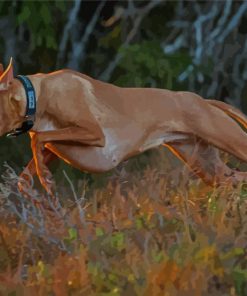 Pharaoh Hound Running Diamond Painting