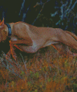 Pharaoh Hound Running Diamond Painting