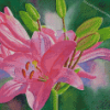 Pink Lilies Diamond Painting