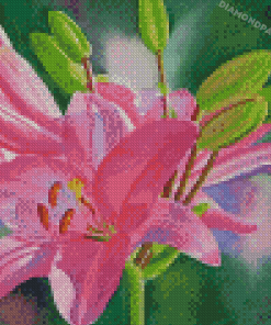 Pink Lilies Diamond Painting