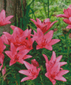 Pink Lily Flowers Garden Diamond Painting