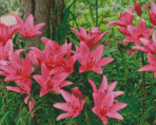 Pink Lily Flowers Garden Diamond Painting