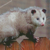 Possum Diamond Painting