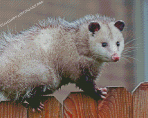 Possum Diamond Painting