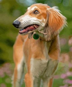 Saluki Dog Diamond Painting