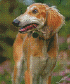 Saluki Dog Diamond Painting