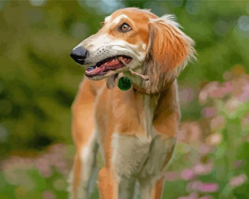 Saluki Dog Diamond Painting