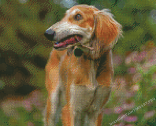 Saluki Dog Diamond Painting